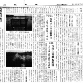 米穀新聞